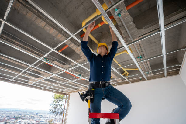 Best Shower Repair Services  in Onarga, IL
