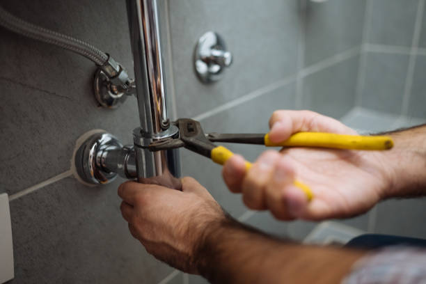 Best Residential Plumbing Services  in Onarga, IL