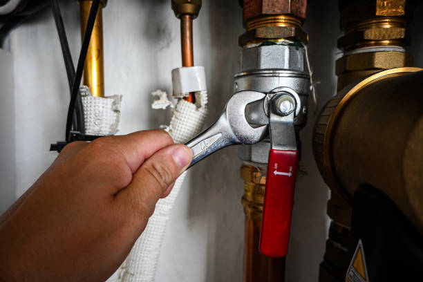 Best Plumbing Inspection Services  in Onarga, IL